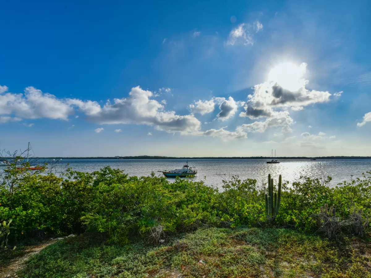 Aruba Beachfront Villas Near Surfside Beach Casiola