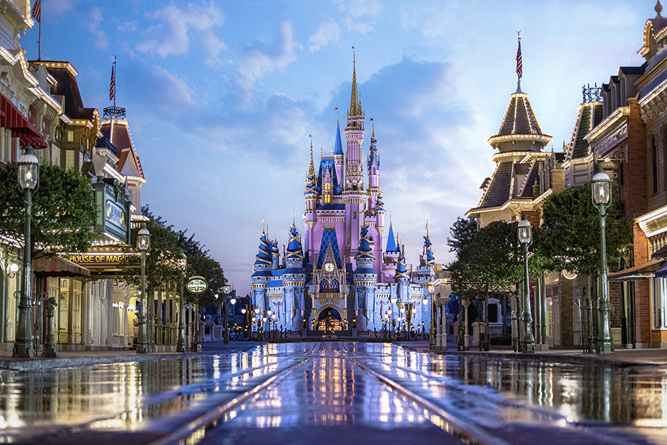 Walt Disney World Travel Journal Bundle - Dream Plan Fly