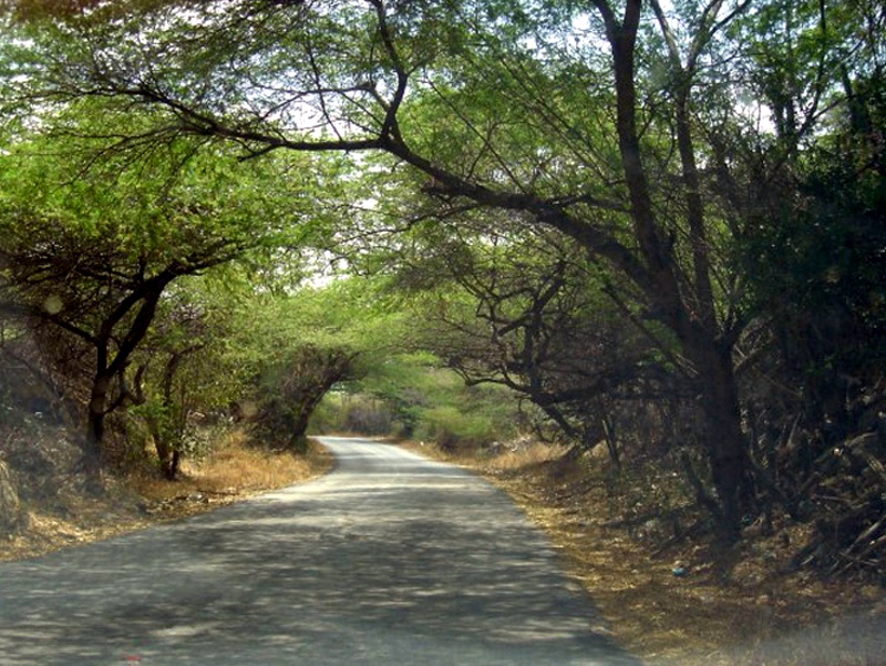 Frenchmans Pass Aruba 1