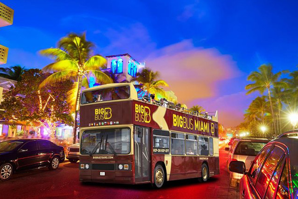 casiola miami big bus tours night tour