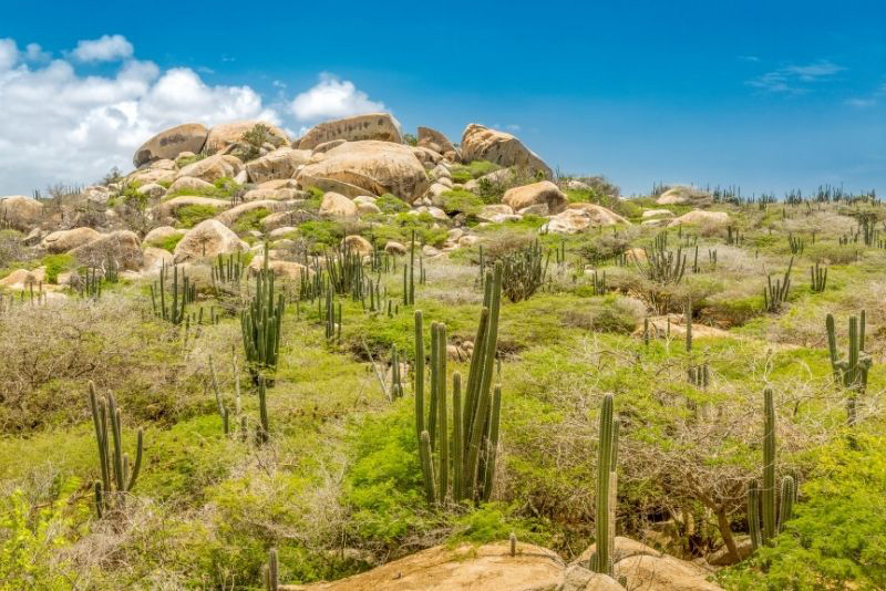 Casiola Aruba Ayo and Casibari Rock Formations Aruba