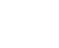 2023 2024