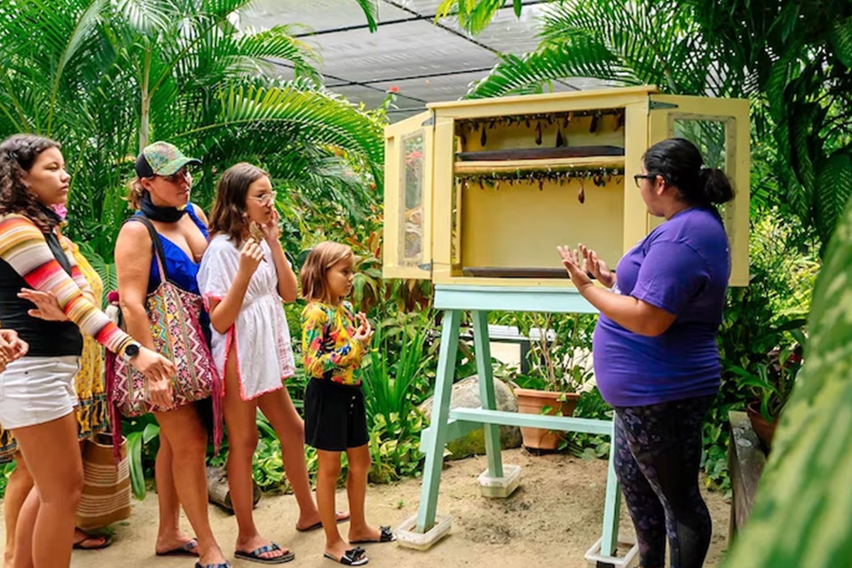 casiola the butterfly farm in aruba guided tours