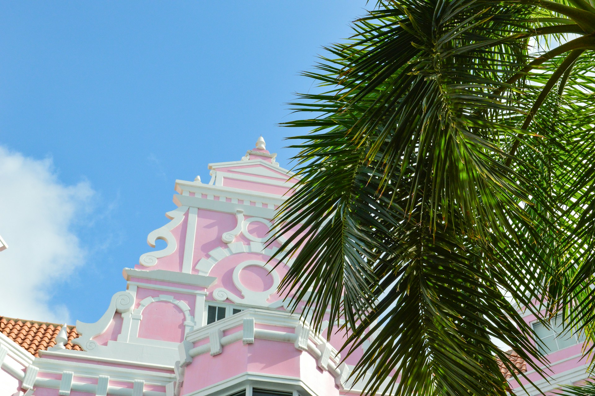 A pink and white building with a palm tree in front of it