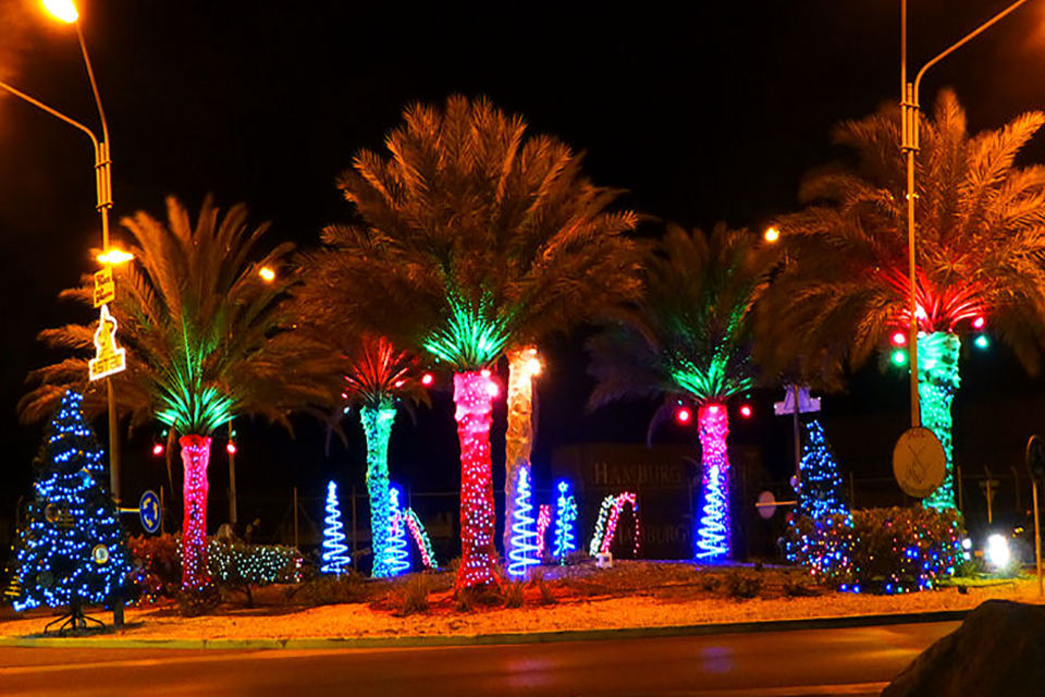 Aruba palm tree lights