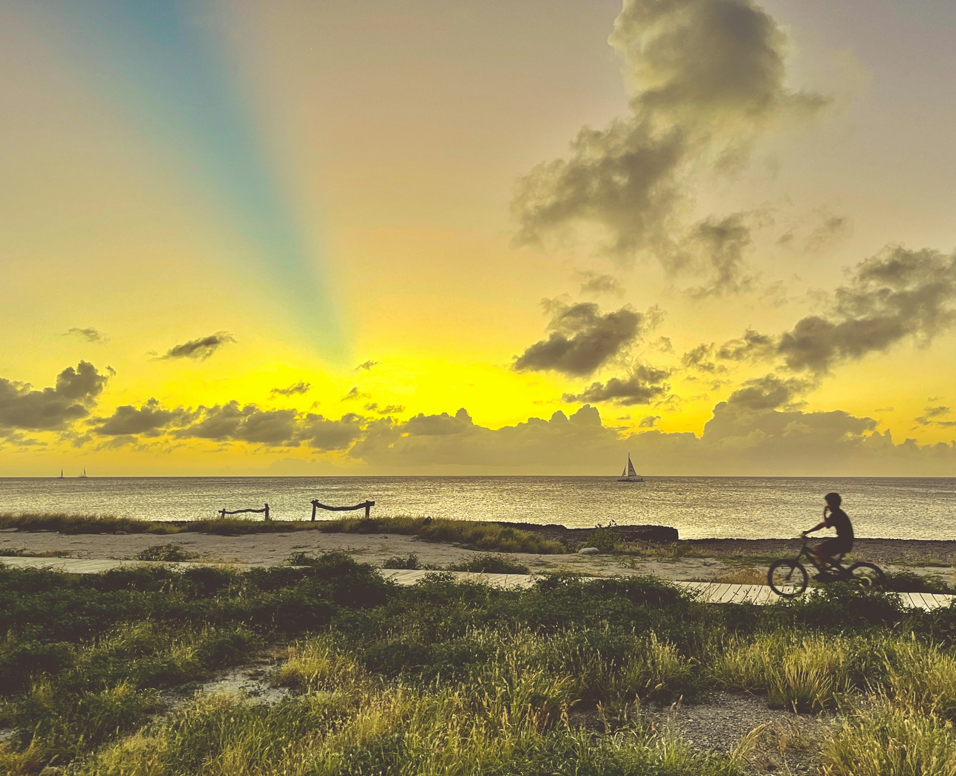 Aruba Nature