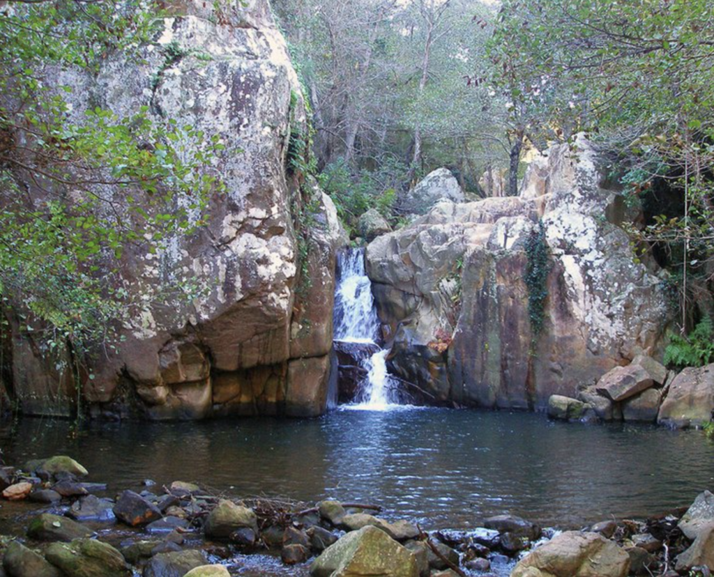 03 Los Alcornocales Natural Park